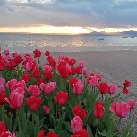 Appartement La Casa Di Marzia *
