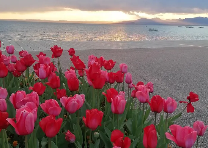 Apartament La Casa Di Marzia *